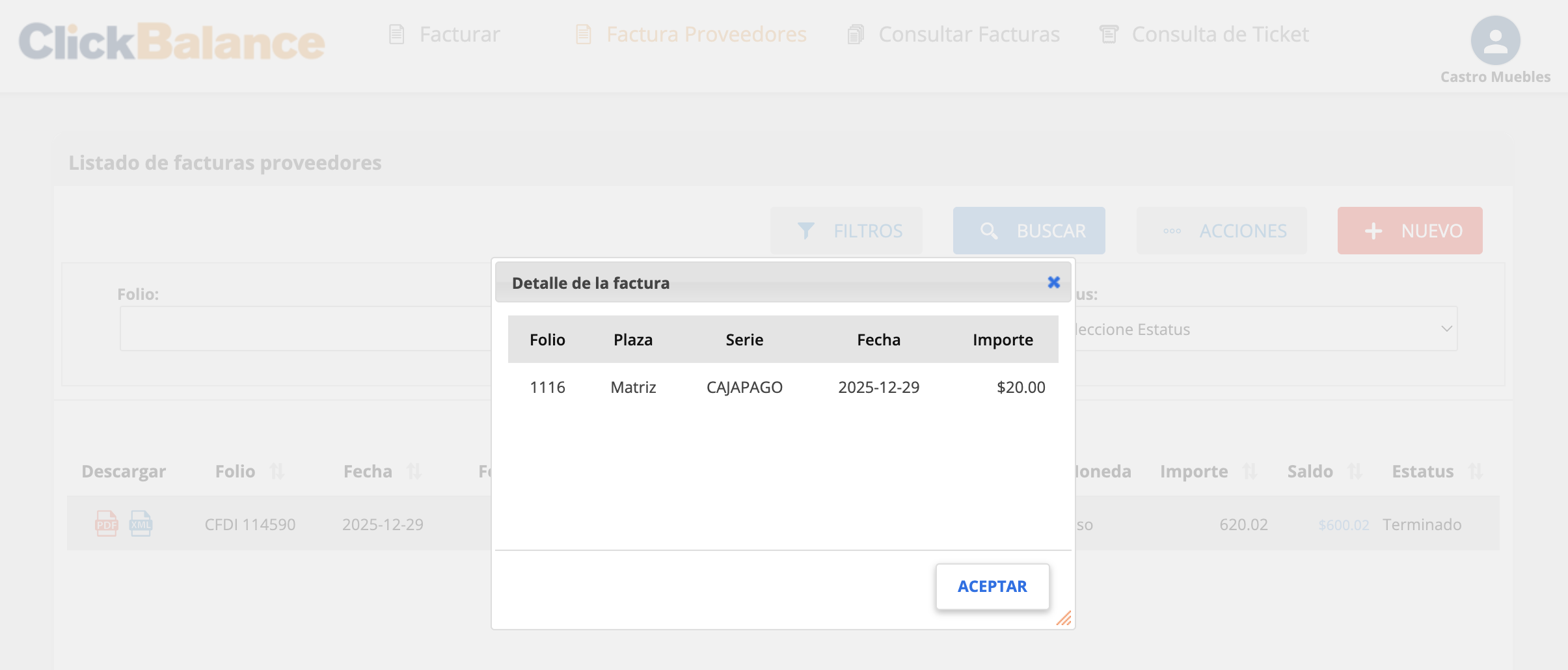 Detalle de la factura